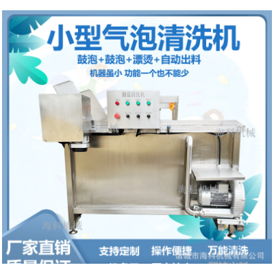 小型果蔬氣泡清洗機 半成品預制菜加工設備 翻藍自動出料洗菜機器