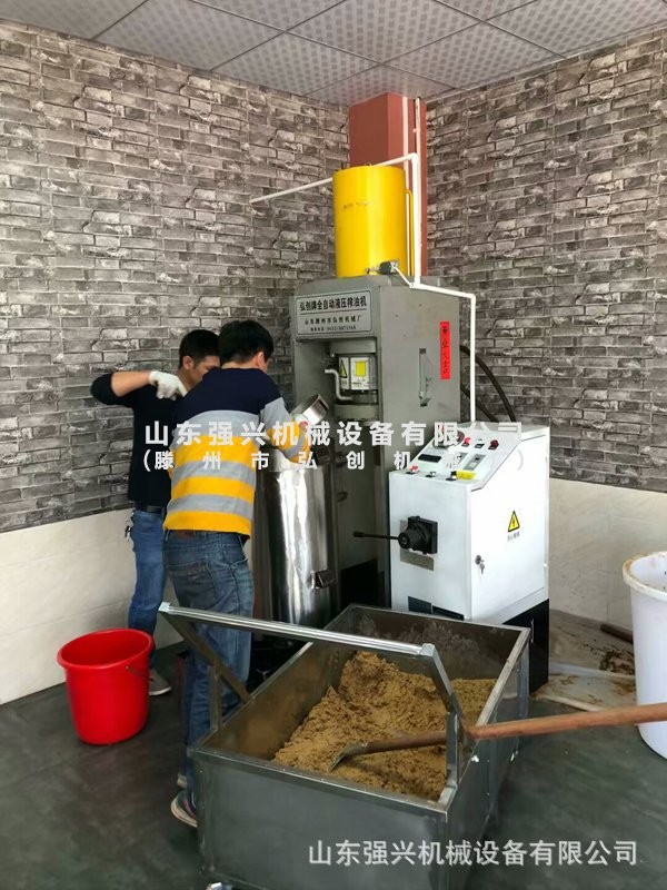 全自動榨菜籽油機器 全自動榨芝麻油機器 全自動榨茶籽油機器