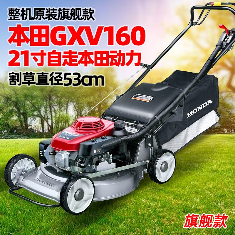 汽油草坪機本田GXV160動力自走割草機四沖程剪草修剪機手推除草機