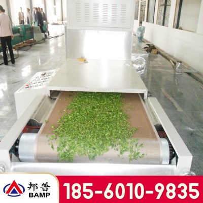 微波殺青設備 殺青干燥一體設備 茶葉微波殺青機 隧道式殺青設備