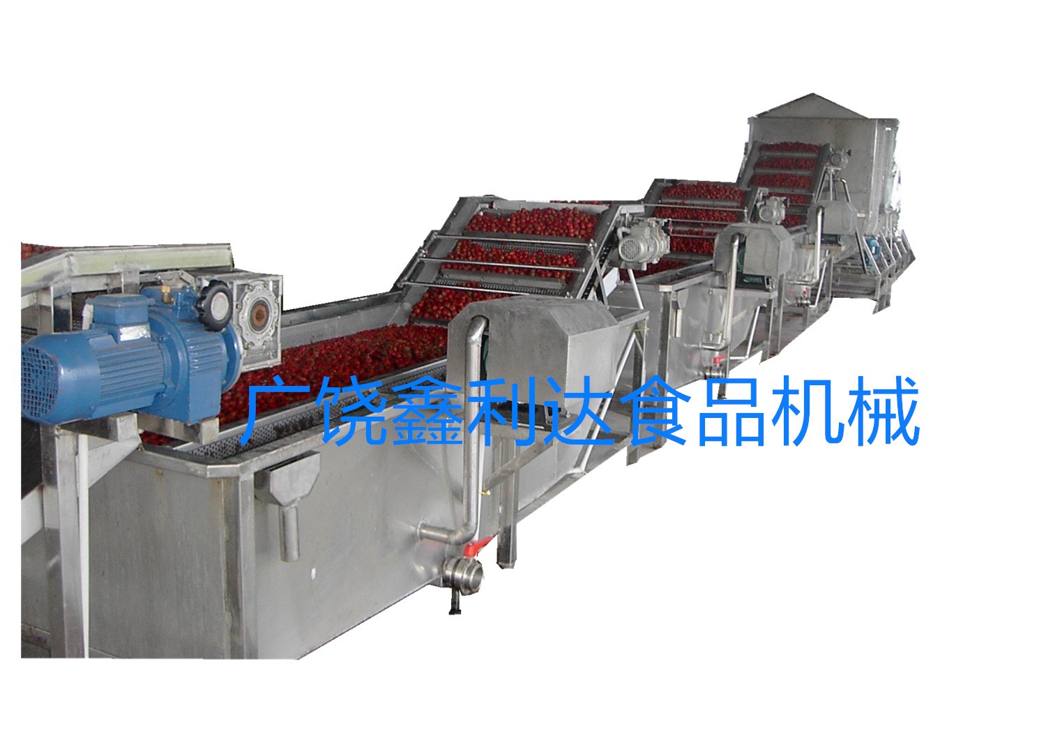 山楂清洗機 山楂清洗設備 山楂漂燙設備