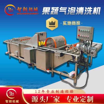果蔬氣泡清洗機(jī) 全自動(dòng)連續(xù)式清洗設(shè)備 去雜汽泡清洗機(jī)廠家
