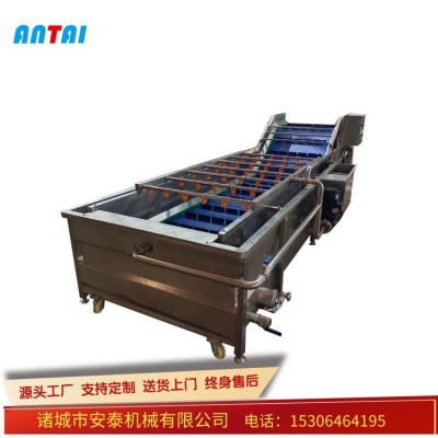 胡蘿卜毛輥去皮清洗機 土豆毛刷清洗機 芹菜連續水浴氣泡清洗機