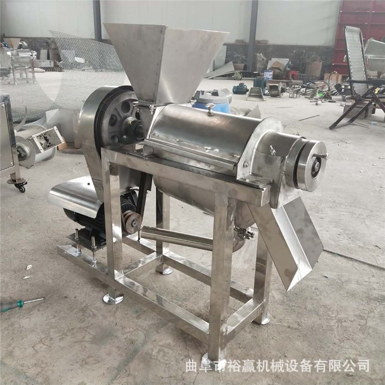 廠家供應鮮果榨汁機 大型商用草莓芒果擠汁設備 工廠果汁加工