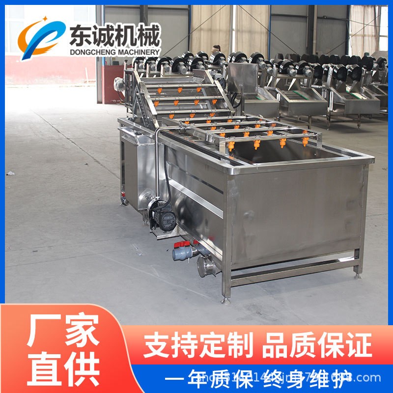 多功能商用洗菜機(jī) 噴淋式中藥材氣泡清洗機(jī) 果蔬全自動清洗流水線