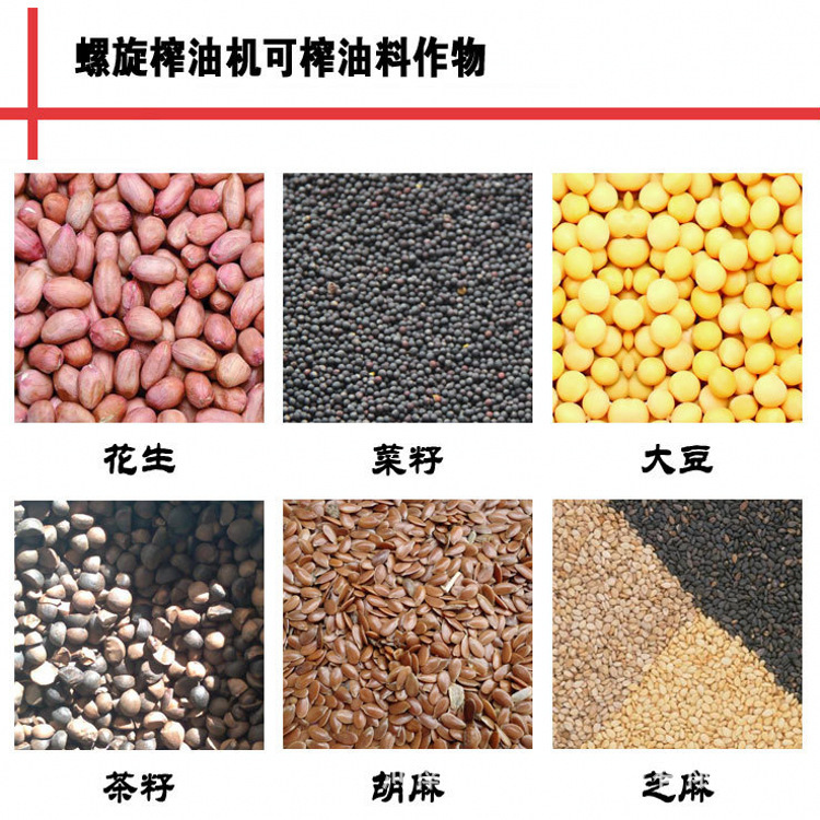 榨油機(jī)機(jī)急急急