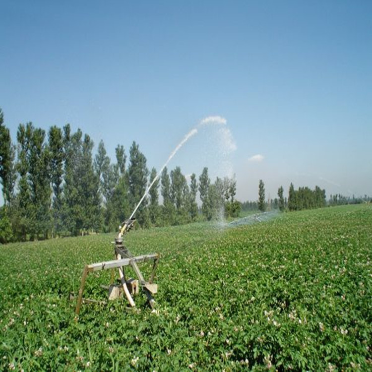 微信圖片_20200721180947_副本