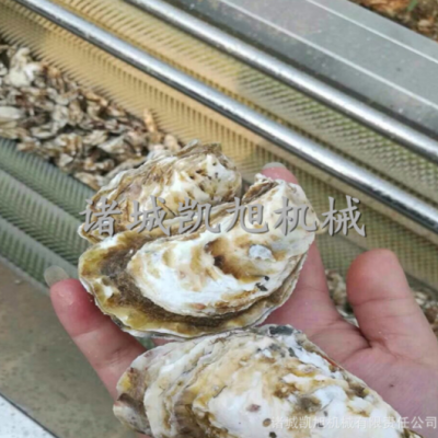 海蠣子清洗機(jī) 軟刷頭硬毛刷海鮮清洗設(shè)備 毛刷毛輥清洗脫皮機(jī)