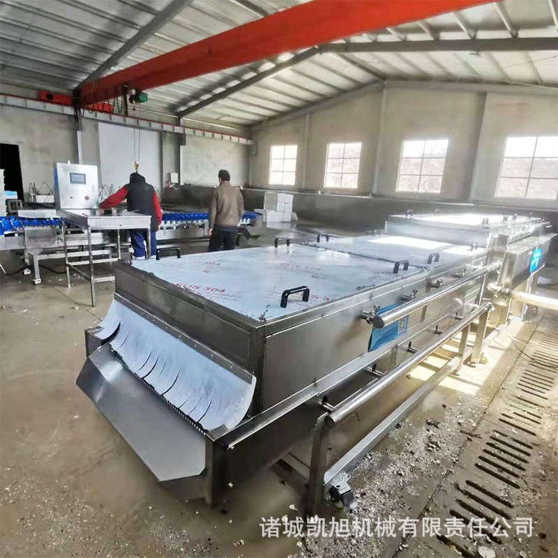 海蠣子去泥清洗設(shè)備 生姜洋蔥清洗機(jī) 紅棗胡蘿卜清洗設(shè)備供應(yīng)