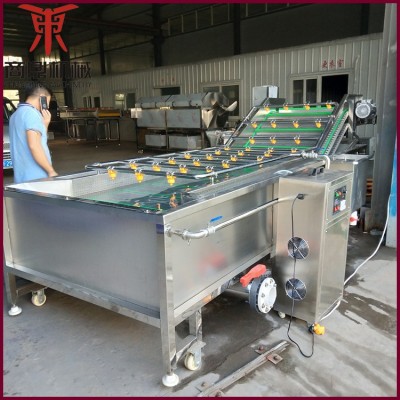 海參清洗機(jī) 海參翻浪清洗機(jī) 多功能氣泡清洗機(jī) 源頭工廠