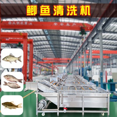 鯽魚清洗加工流水線 全自動(dòng)鯽魚氣泡清洗機(jī) 海產(chǎn)品噴淋清洗設(shè)備