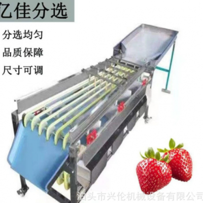 檳郎分級機冬棗篩選機橄欖分揀機山楂篩果機獼猴桃分選機