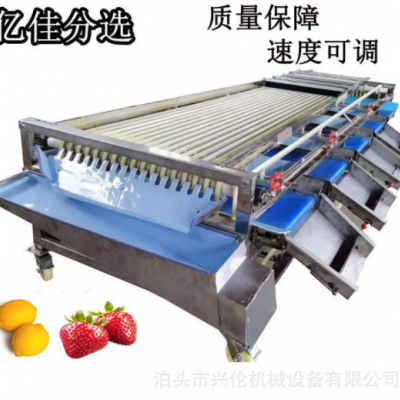 臍橙篩選機百香果分揀機核桃分級機李子分果機皮帶式分選機