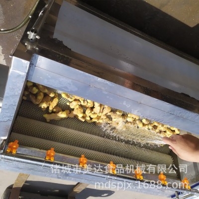 商用 果蔬去皮清洗機 全自動毛輥毛刷土豆芋頭去皮清洗設備機