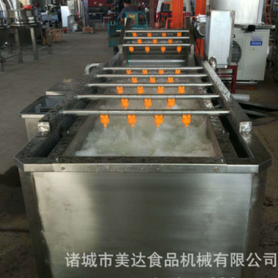 商用食品蓮藕果蔬氣泡清洗機 全自動氣泡噴淋紅薯清洗設備
