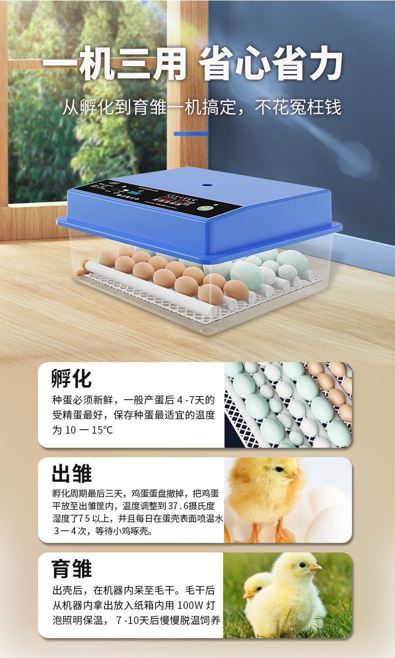 孵蛋器詳情頁_11.jpg