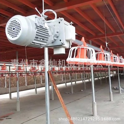 自動料線 雞舍養雞自動料線 肉雞平養料盤式供料系統 養殖設備