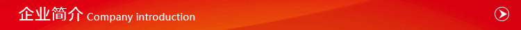 企業(yè)簡(jiǎn)介 - 副本
