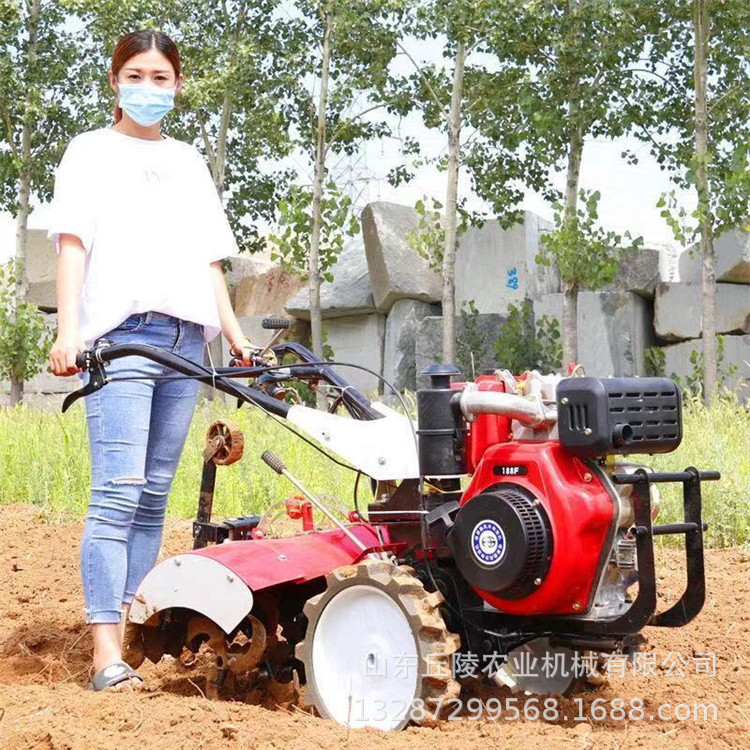 b07b36bb9826c0b415a2dee18253ae