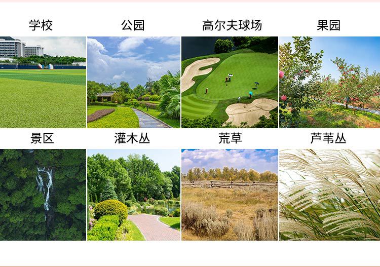 駕駛式草坪機_05