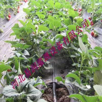 山西滴灌管灌溉推廣 前景好節能***微灌管