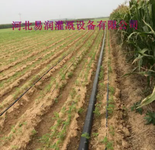 河南準確灌溉大田滴灌帶 防灼傷塑料滴水扁管