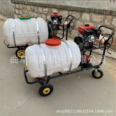 汽油手推式噴霧器 電動果園殺蟲機 大棚拉管式噴藥機