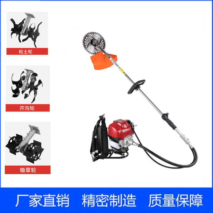 3797703862_1041959000<i></i>x400_副本_副