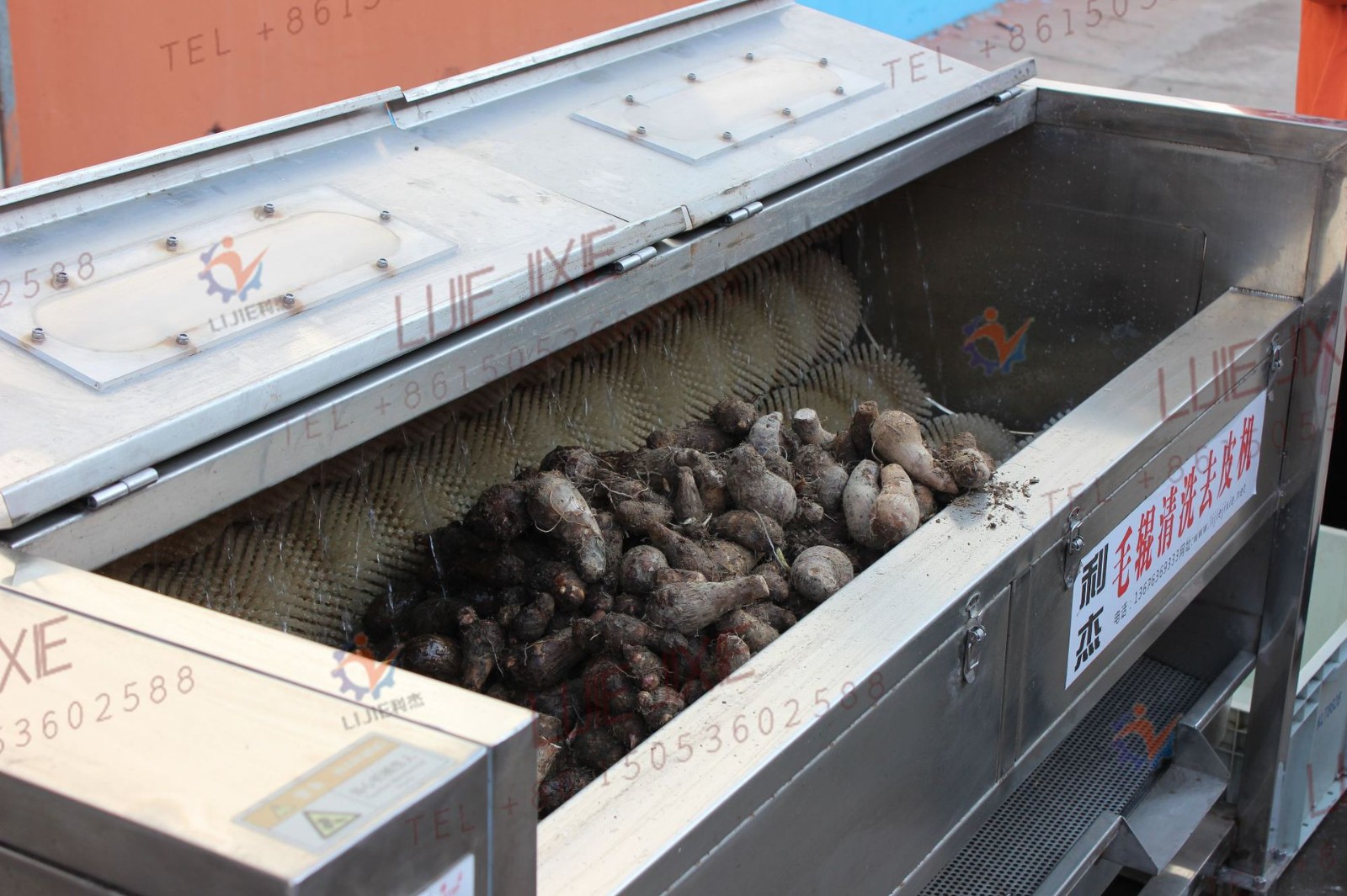 南瓜花生清洗去皮機 土豆紅薯毛刷清洗去皮機哪家好