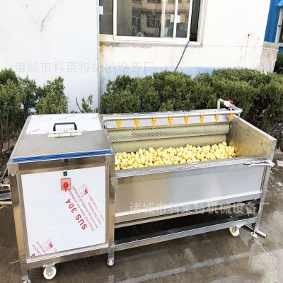 自動(dòng)清洗去泥機(jī) 毛輥去皮機(jī) 毛刷清洗機(jī) 根莖類清洗加工設(shè)備型號(hào)