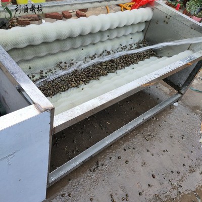 新 全自動(dòng)清洗機(jī) 洗花生毛輥機(jī)器 不銹鋼栗子毛輥清洗機(jī)型號全
