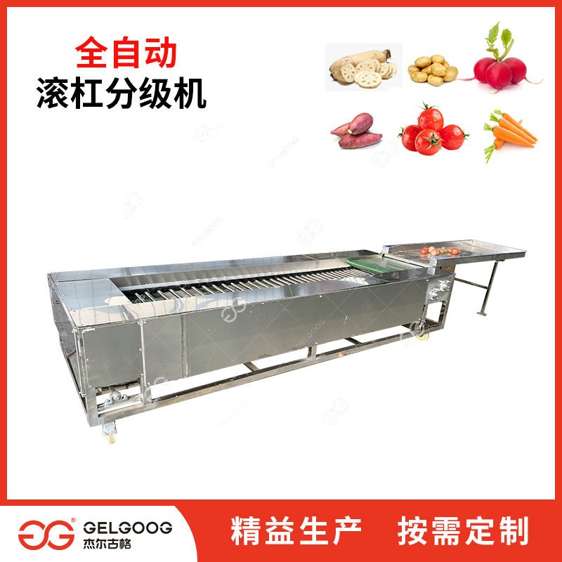 圣女果分級分選機 自動選果設備 番茄分選篩選機械 西紅柿分級機