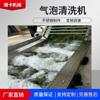定制波浪式氣泡清洗機 快速蘋果清洗設(shè)備 廠家變頻氣泡清洗機