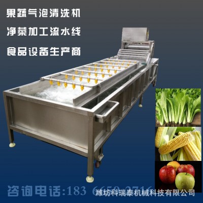 小香蔥氣泡清洗機 韭菜去農殘專用清洗機 芹菜清洗流水線