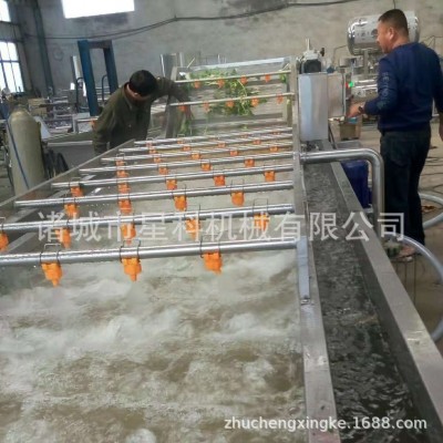 商用荔枝小蔥清洗風干成套設備 根莖類蔬菜清洗機 藍莓木耳清洗機
