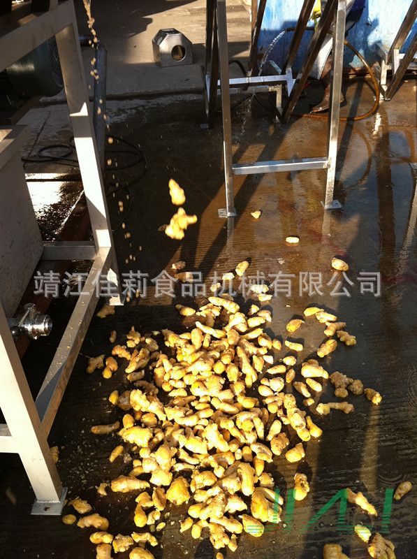 滾筒清洗機(生姜清洗效果)