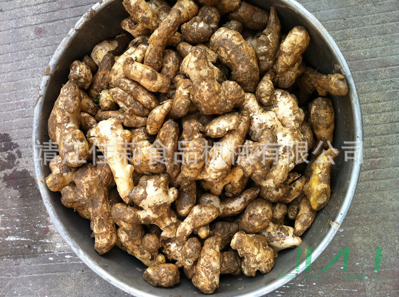 滾筒清洗機(生姜原料)