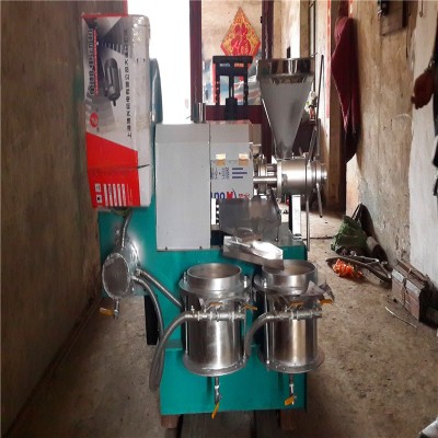 螺旋炸油機商用自動榨油山茶籽油設備花生牙麻籽榨油機廠家批發