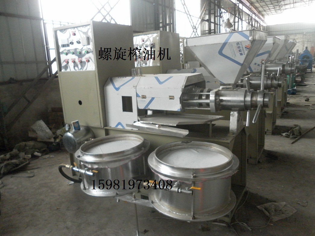 花生油壓榨機 新型全自動螺旋榨油機 榨油機現貨供應