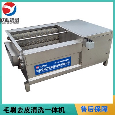 歐業(yè)毛刷清洗機 芋頭去皮機 全自動小型蓮藕脫皮機