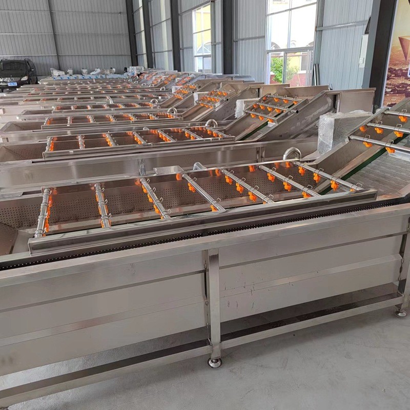 小型果蔬清洗機 醬菜氣泡清洗設備 蓮藕根莖類蔬菜清洗流水線廠家