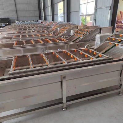 小型果蔬清洗機 醬菜氣泡清洗設備 蓮藕根莖類蔬菜清洗流水線廠家