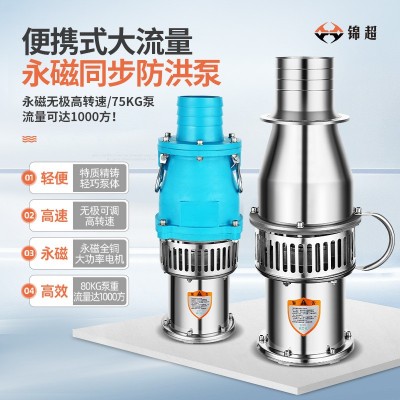 錦超大流量便攜式軸流潛水泵高揚程排澇不銹鋼永磁防洪泵潛水泵