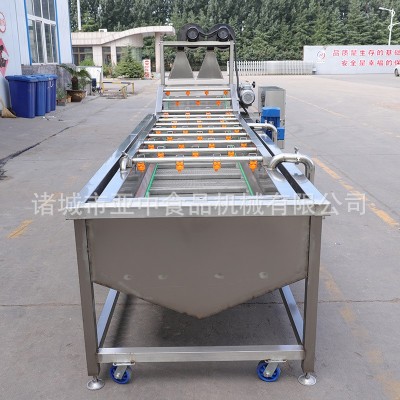 果蔬氣泡清洗機鮮果處理機氣泡清洗機 果蔬清洗機 高壓噴淋清洗機