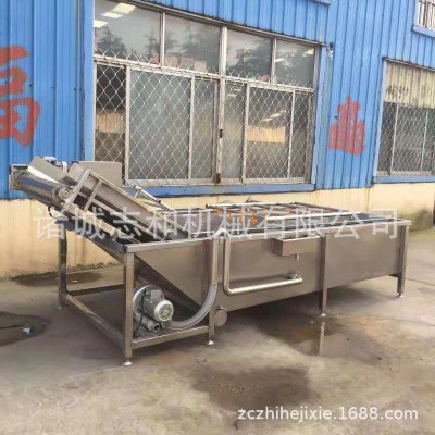 山東菠菜氣泡清洗機 水果氣泡清洗機高壓噴淋 果蔬鼓泡清洗機
