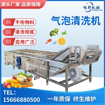 全自動(dòng)果蔬噴淋清洗機(jī) 不銹鋼中央廚房大型洗菜機(jī) 商用氣泡清洗機(jī)