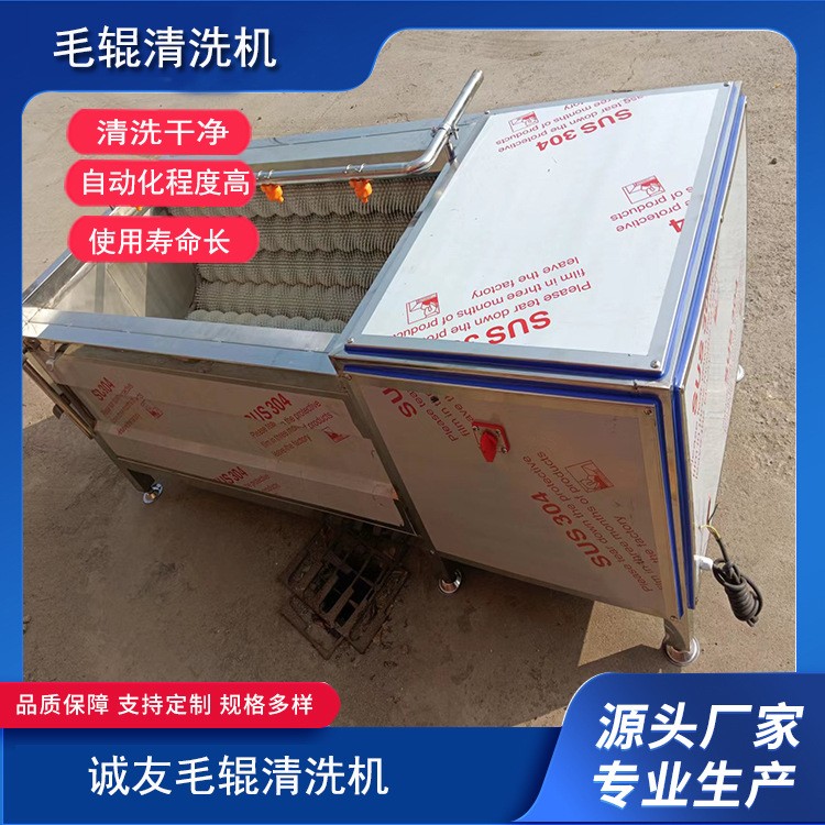 不銹鋼全自動毛輥清洗機 蘿卜紅薯生姜去皮去泥清洗設備