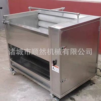 土豆去皮毛輥清洗機全自動紅薯清洗去皮機大姜蘿卜毛輥清洗設備