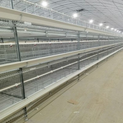 工廠直批立體式蛋雞籠新型全自動層疊蛋雞籠熱鍍鋅框架結構蛋雞籠