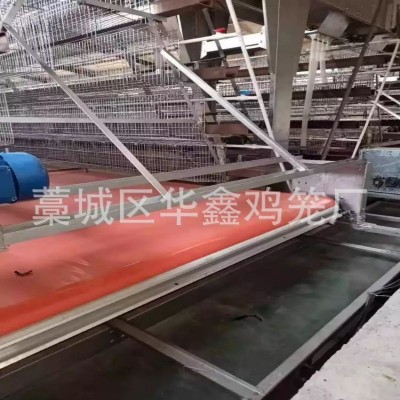 雞籠子安裝批發 自動清糞蛋雞籠階梯式雞籠立式雞籠層疊雞籠